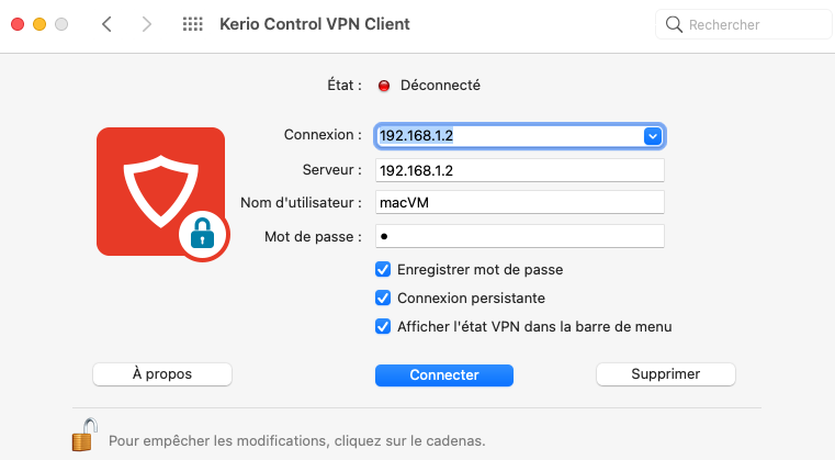 vpn_client_french.png